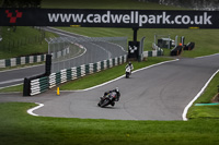 cadwell-no-limits-trackday;cadwell-park;cadwell-park-photographs;cadwell-trackday-photographs;enduro-digital-images;event-digital-images;eventdigitalimages;no-limits-trackdays;peter-wileman-photography;racing-digital-images;trackday-digital-images;trackday-photos